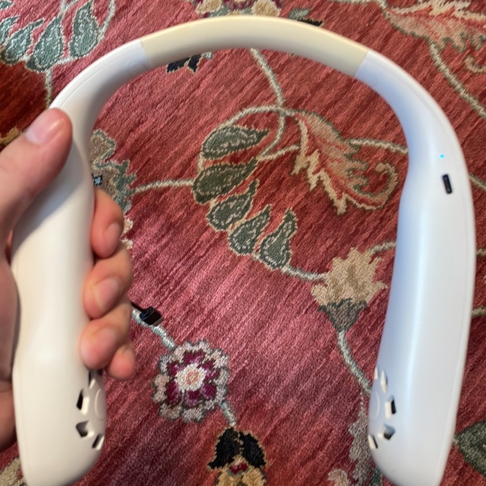 Neck fan